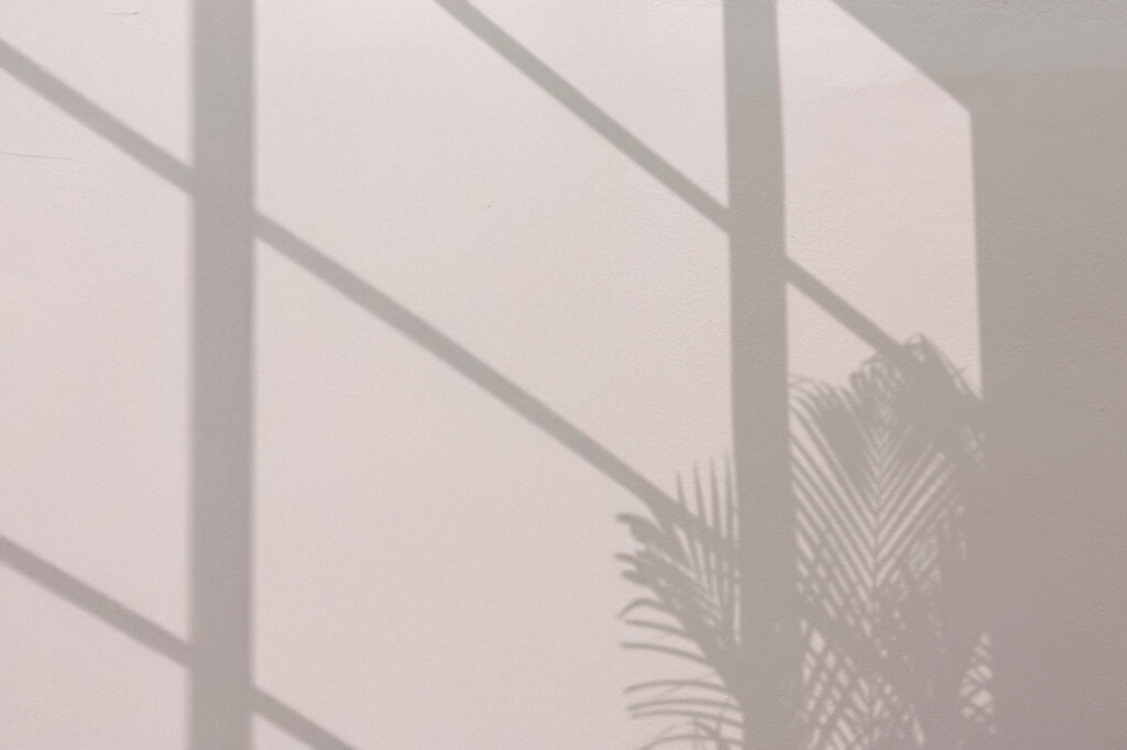 Background With Palm Fronds